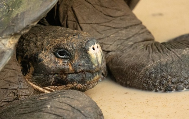 Infinity Galapagos 8 Day Small Ship Cruise A