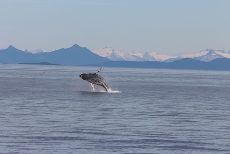 Itinerary image for Day 3 Frederick Sound