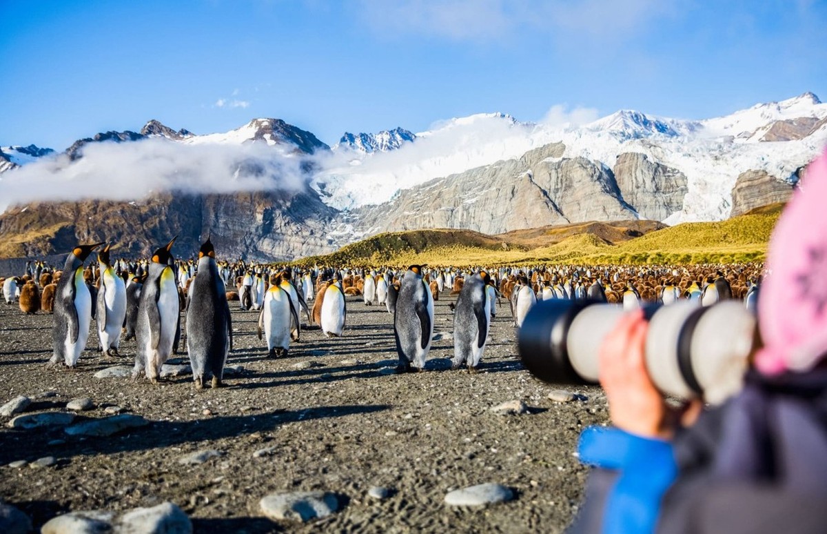 Feture image for Falklands, South Georgia & Antarctic Peninsula 22 Day Expedition