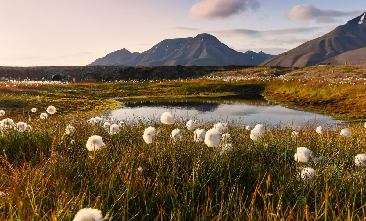 Feture image for Arctic Golden Autumn & Northern Lights Expedition Cruise