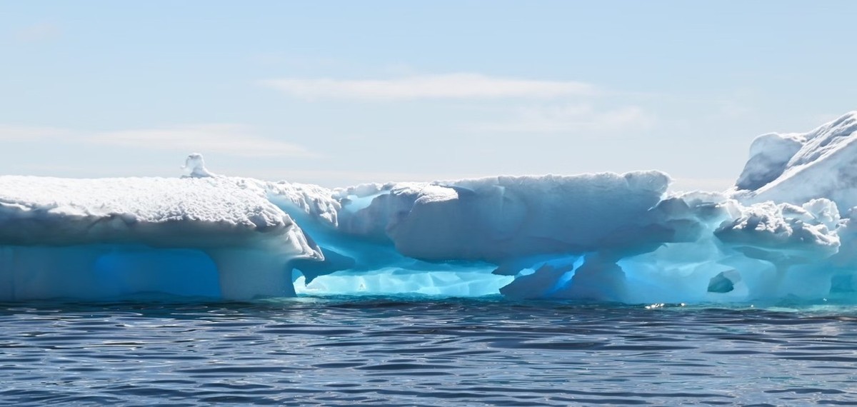 Feture image for Highlights of the Southern Spring - Antarctica Expedition Cruise