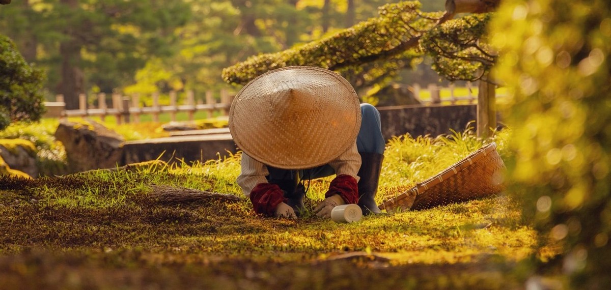 Feture image for Eternal Japan & South Korea - A Voyage from Kanazawa to Kobe