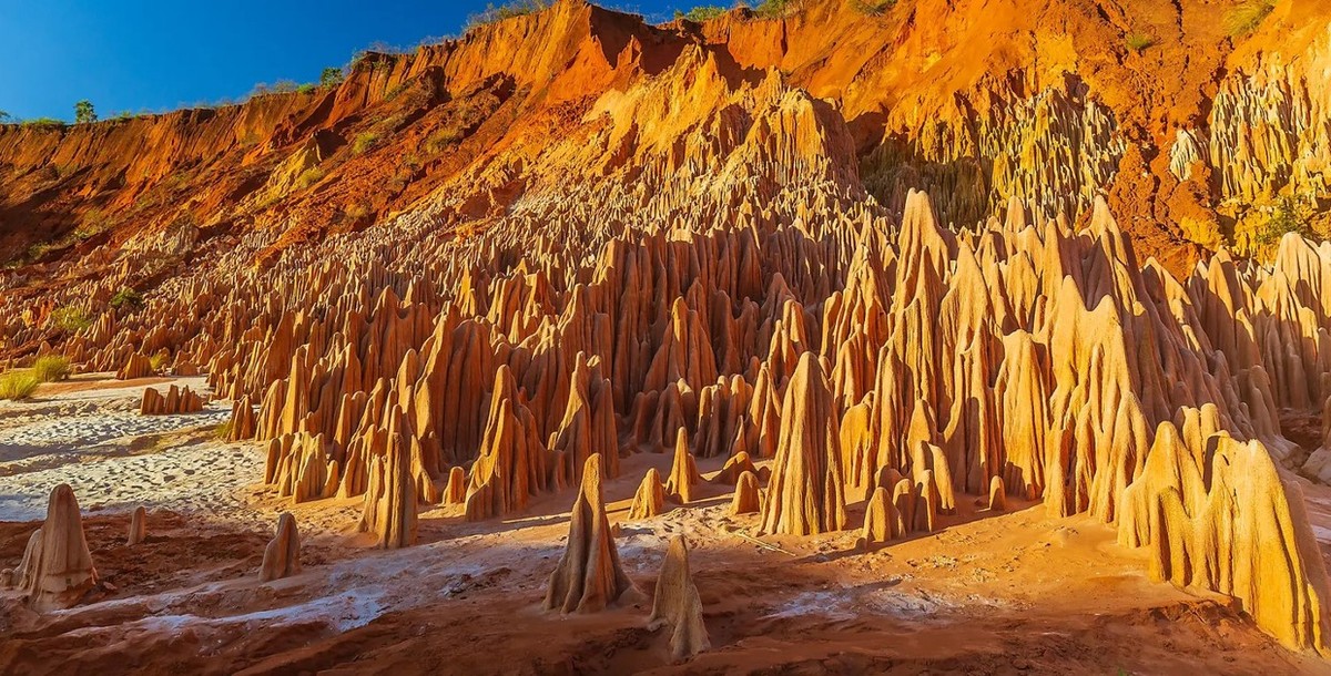 Feture image for Madagascar & Seychelles: Natural Treasures of the Indian Ocean – with Smithsonian Journeys