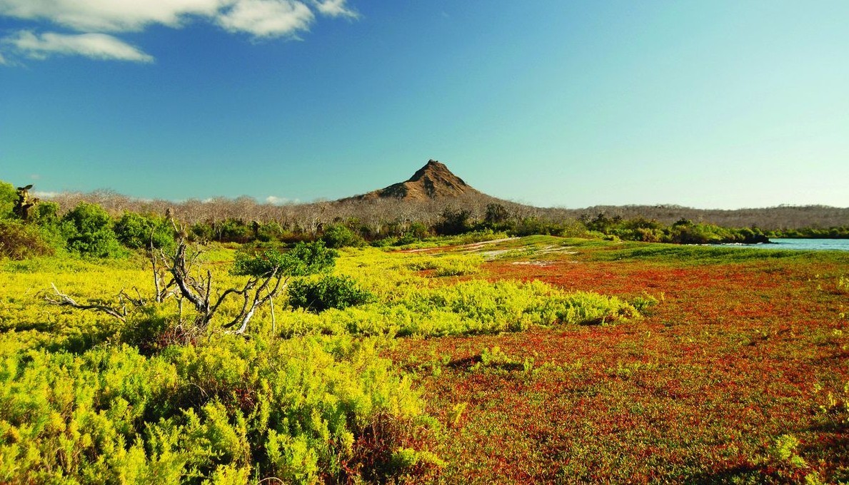 Feture image for 10 Days Luxury Galapagos Cruise A - San Cristóbal to San Cristóbal