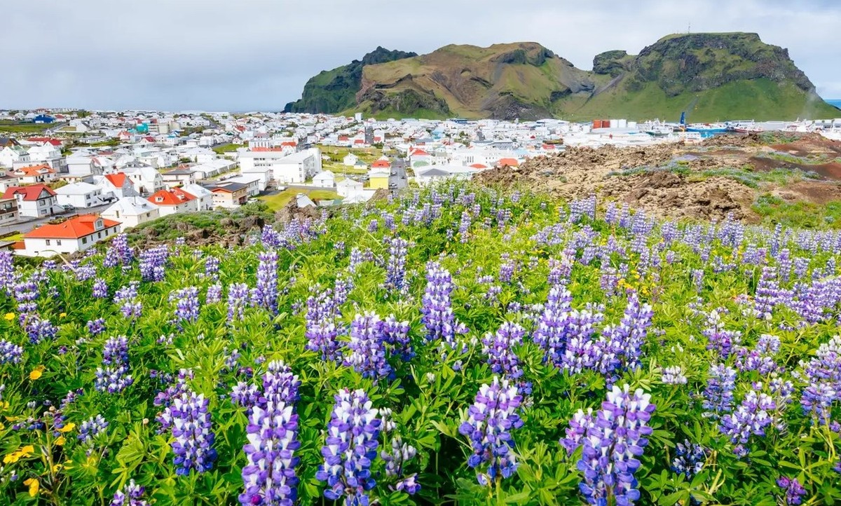 Feture image for Wild Iceland Escape - Northwest Iceland Expedition Cruise